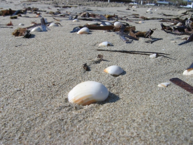 La bellezza del mare